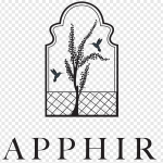 png-transparent-sapphire-clothing-fashion-brand-textile-clothing-logo